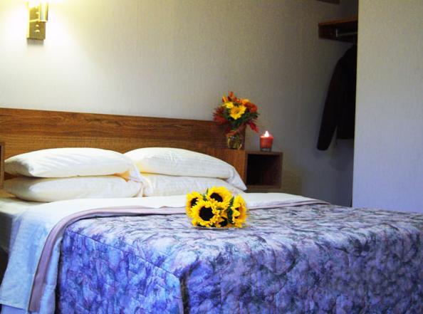 Tall Pines Motel レイク・ジョージ 部屋 写真