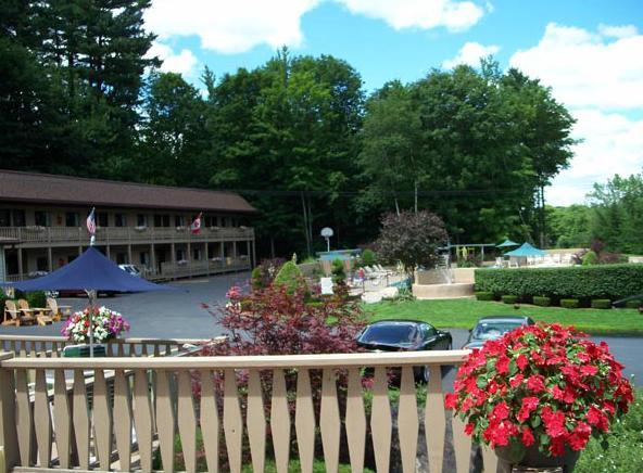 Tall Pines Motel レイク・ジョージ エクステリア 写真