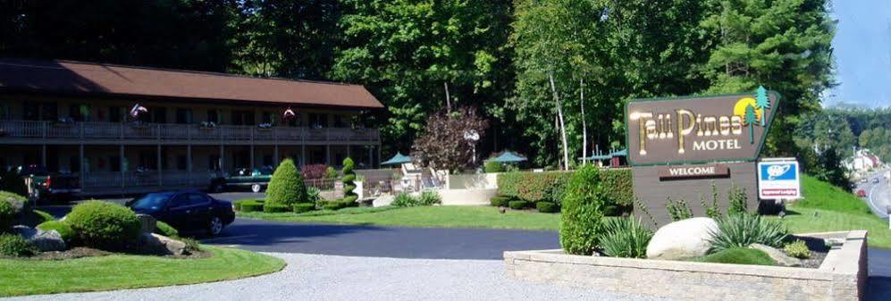 Tall Pines Motel レイク・ジョージ エクステリア 写真